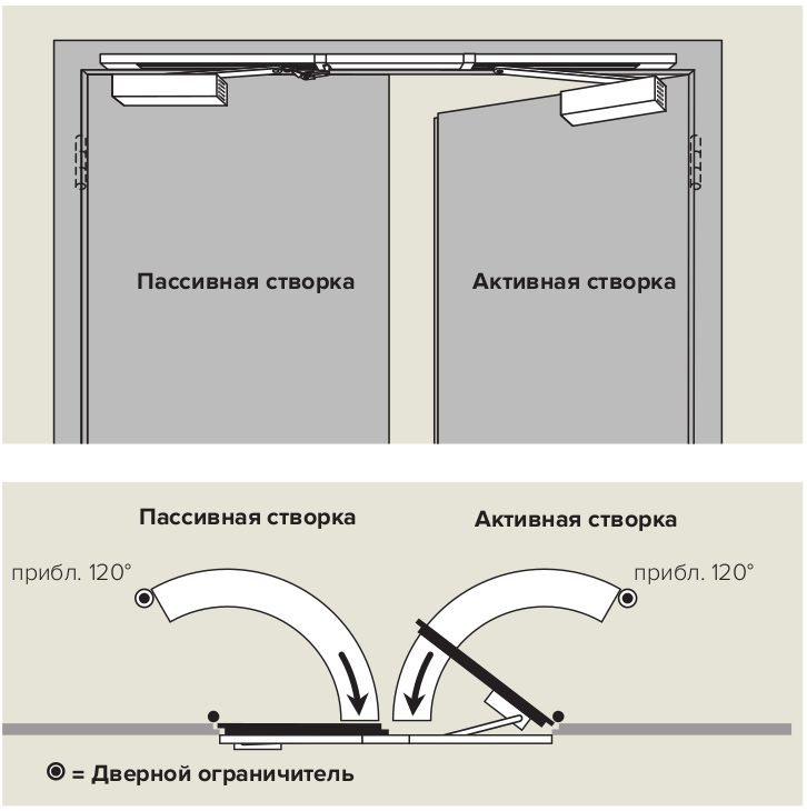 Координатор G-SR/BG